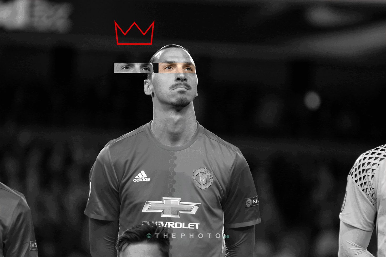 The King will be back. Zlatan Ibrahimovic is recovering from a a serious knee injury.