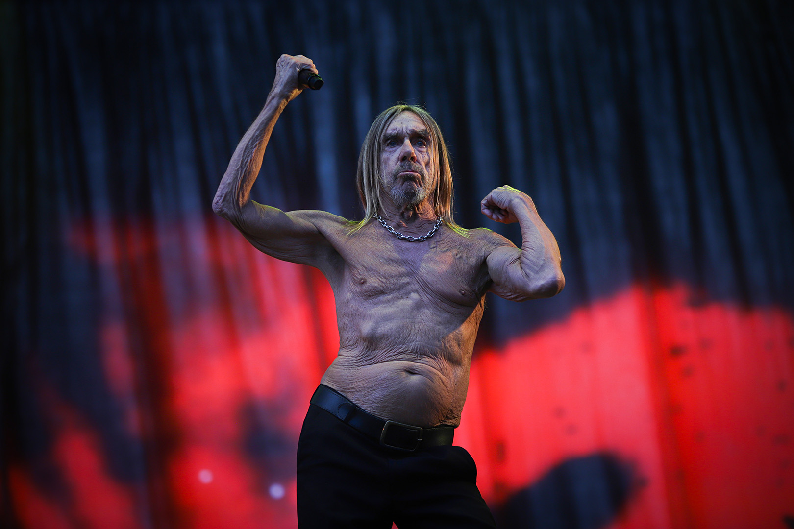Portada Iggy Pop - Rodrigo Rivas Ruiz